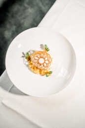 Reiseis mit Mangovariation und Zitronenmelisse